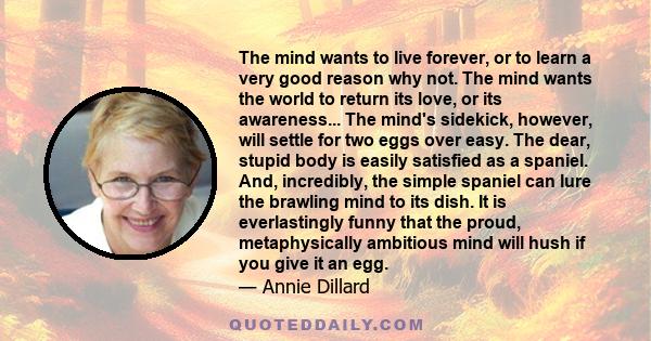 The mind wants to live forever, or to learn a very good reason why not. The mind wants the world to return its love, or its awareness... The mind's sidekick, however, will settle for two eggs over easy. The dear, stupid 