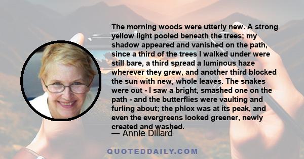 The morning woods were utterly new. A strong yellow light pooled beneath the trees; my shadow appeared and vanished on the path, since a third of the trees I walked under were still bare, a third spread a luminous haze