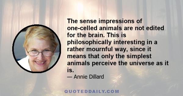 The sense impressions of one-celled animals are not edited for the brain. This is philosophically interesting in a rather mournful way, since it means that only the simplest animals perceive the universe as it is.