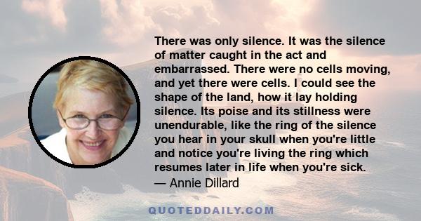 There was only silence. It was the silence of matter caught in the act and embarrassed. There were no cells moving, and yet there were cells. I could see the shape of the land, how it lay holding silence. Its poise and