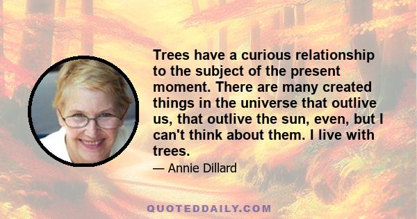 Trees have a curious relationship to the subject of the present moment. There are many created things in the universe that outlive us, that outlive the sun, even, but I can't think about them. I live with trees.