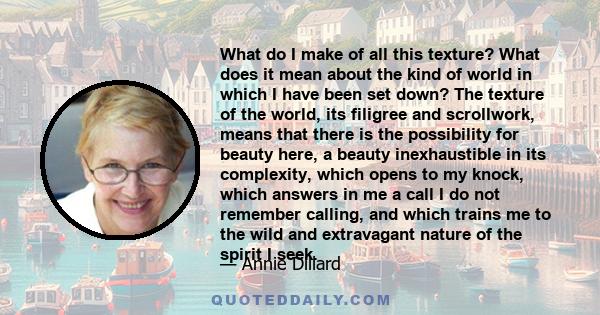 What do I make of all this texture? What does it mean about the kind of world in which I have been set down? The texture of the world, its filigree and scrollwork, means that there is the possibility for beauty here, a