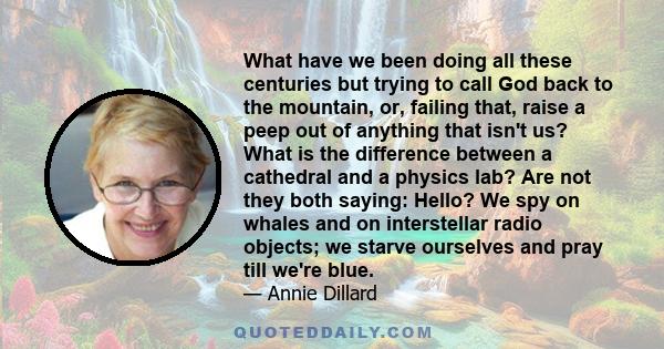 What have we been doing all these centuries but trying to call God back to the mountain, or, failing that, raise a peep out of anything that isn't us? What is the difference between a cathedral and a physics lab? Are