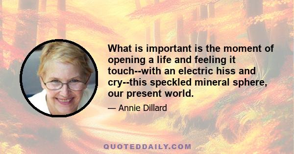 What is important is the moment of opening a life and feeling it touch--with an electric hiss and cry--this speckled mineral sphere, our present world.