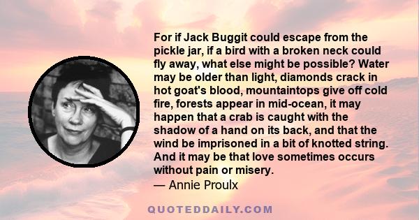 For if Jack Buggit could escape from the pickle jar, if a bird with a broken neck could fly away, what else might be possible? Water may be older than light, diamonds crack in hot goat's blood, mountaintops give off