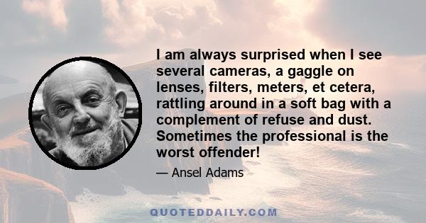 I am always surprised when I see several cameras, a gaggle on lenses, filters, meters, et cetera, rattling around in a soft bag with a complement of refuse and dust. Sometimes the professional is the worst offender!