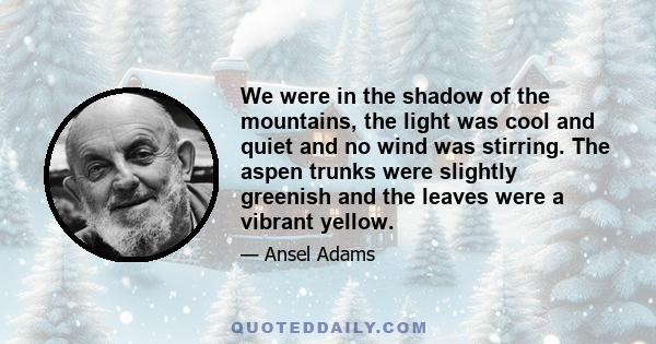 We were in the shadow of the mountains, the light was cool and quiet and no wind was stirring. The aspen trunks were slightly greenish and the leaves were a vibrant yellow.