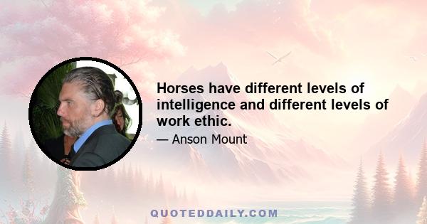 Horses have different levels of intelligence and different levels of work ethic.