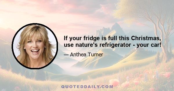 If your fridge is full this Christmas, use nature's refrigerator - your car!