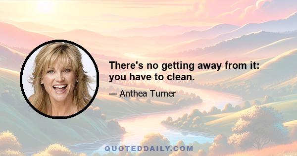 There's no getting away from it: you have to clean.