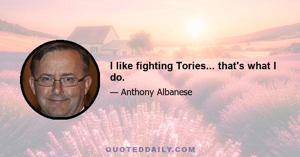 I like fighting Tories... that's what I do.