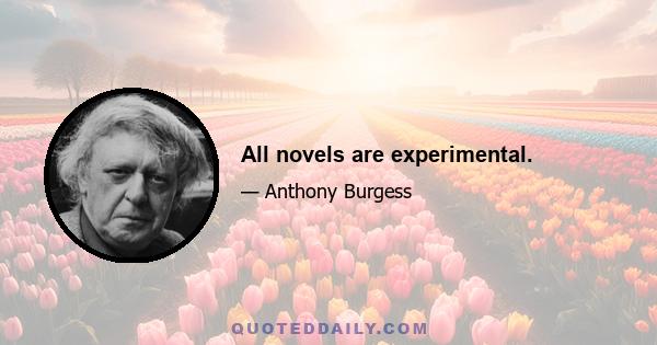 All novels are experimental.