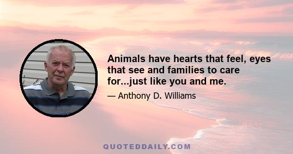 Animals have hearts that feel, eyes that see and families to care for...just like you and me.