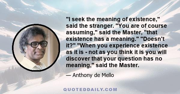 I seek the meaning of existence, said the stranger. You are of course assuming, said the Master, that existence has a meaning. Doesn't it? When you experience existence as it is - not as you think it is you will