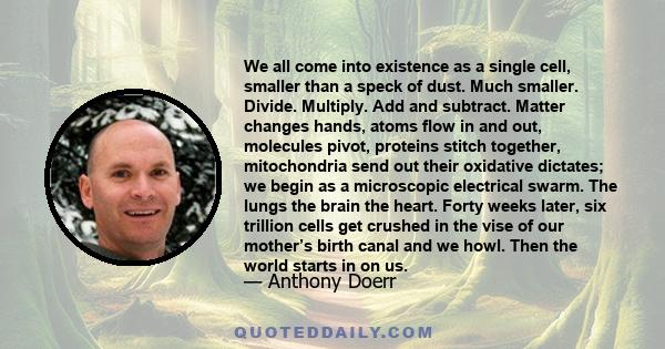 We all come into existence as a single cell, smaller than a speck of dust. Much smaller. Divide. Multiply. Add and subtract. Matter changes hands, atoms flow in and out, molecules pivot, proteins stitch together,