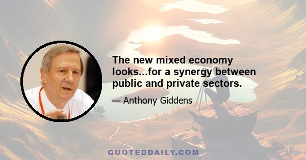 The new mixed economy looks...for a synergy between public and private sectors.