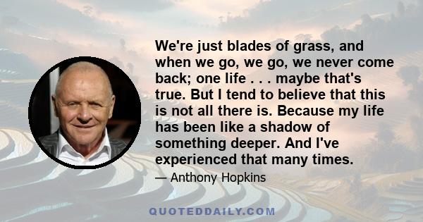 We're just blades of grass, and when we go, we go, we never come back; one life . . . maybe that's true. But I tend to believe that this is not all there is. Because my life has been like a shadow of something deeper.