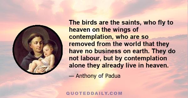 The birds are the saints, who fly to heaven on the wings of contemplation, who are so removed from the world that they have no business on earth. They do not labour, but by contemplation alone they already live in