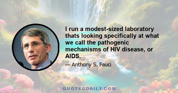 I run a modest-sized laboratory thats looking specifically at what we call the pathogenic mechanisms of HIV disease, or AIDS.