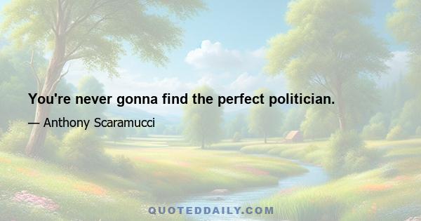 You're never gonna find the perfect politician.