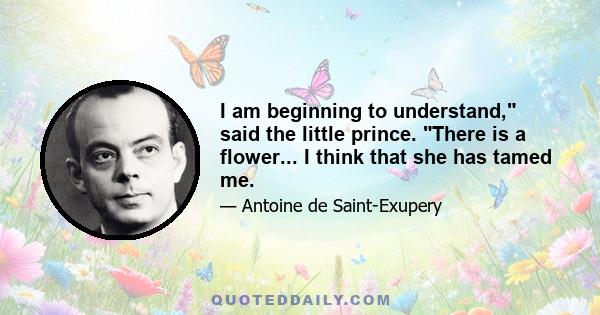 I am beginning to understand, said the little prince. There is a flower... I think that she has tamed me.