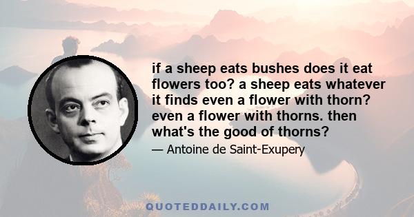 if a sheep eats bushes does it eat flowers too? a sheep eats whatever it finds even a flower with thorn? even a flower with thorns. then what's the good of thorns?