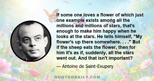 If some one loves a flower of which just one example exists among all the millions and millions of stars, that's enough to make him happy when he looks at the stars. He tells himself, My flower's up there somewhere. . . 