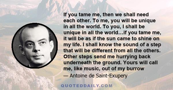 If you tame me, then we shall need each other. To me, you will be unique in all the world. To you, I shall be unique in all the world…if you tame me, it will be as if the sun came to shine on my life. I shall know the