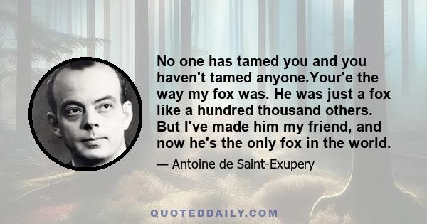 No one has tamed you and you haven't tamed anyone.Your'e the way my fox was. He was just a fox like a hundred thousand others. But I've made him my friend, and now he's the only fox in the world.