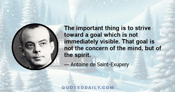 The important thing is to strive toward a goal which is not immediately visible. That goal is not the concern of the mind, but of the spirit.