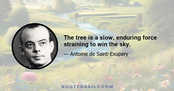 The tree is a slow, enduring force straining to win the sky.