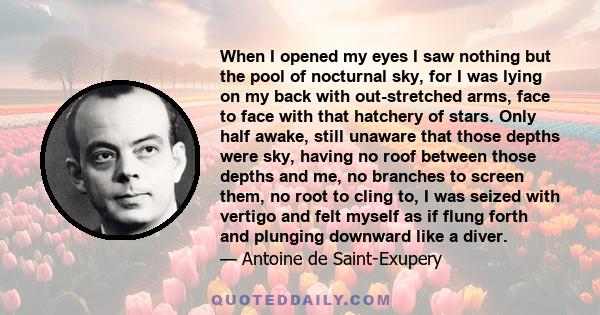 When I opened my eyes I saw nothing but the pool of nocturnal sky, for I was lying on my back with out-stretched arms, face to face with that hatchery of stars. Only half awake, still unaware that those depths were sky, 