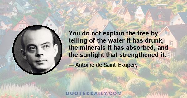 You do not explain the tree by telling of the water it has drunk, the minerals it has absorbed, and the sunlight that strengthened it.