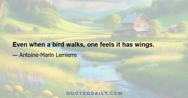 Even when a bird walks, one feels it has wings.