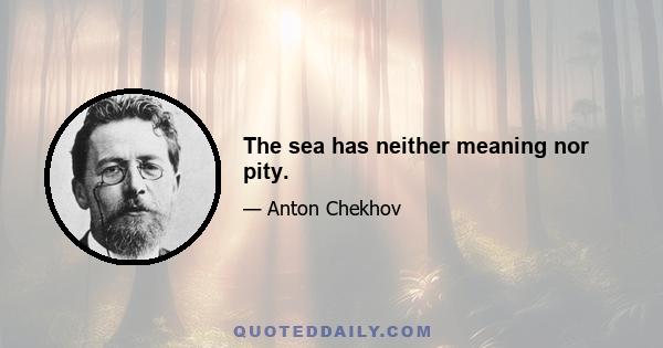 The sea has neither meaning nor pity.