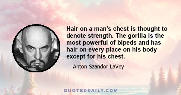 Hair on a man's chest is thought to denote strength. The gorilla is the most powerful of bipeds and has hair on every place on his body except for his chest.