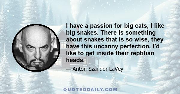 I have a passion for big cats, I like big snakes. There is something about snakes that is so wise, they have this uncanny perfection. I'd like to get inside their reptilian heads.