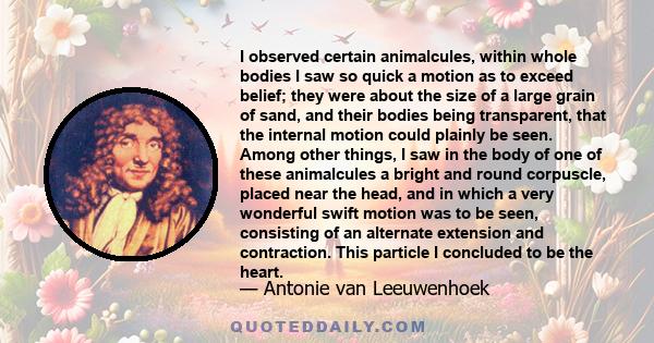 I observed certain animalcules, within whole bodies I saw so quick a motion as to exceed belief; they were about the size of a large grain of sand, and their bodies being transparent, that the internal motion could