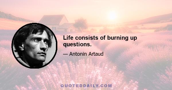 Life consists of burning up questions.