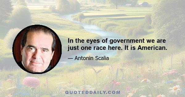 In the eyes of government we are just one race here. It is American.