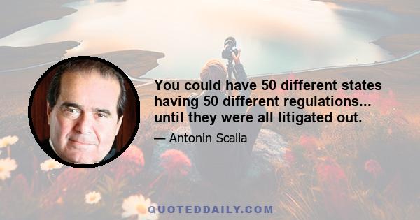 You could have 50 different states having 50 different regulations... until they were all litigated out.