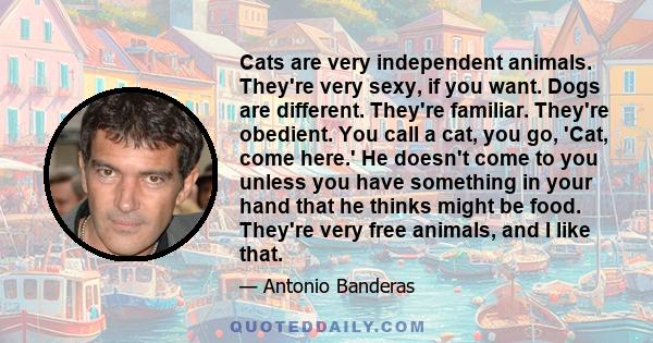 Cats are very independent animals. They're very sexy, if you want. Dogs are different. They're familiar. They're obedient. You call a cat, you go, 'Cat, come here.' He doesn't come to you unless you have something in