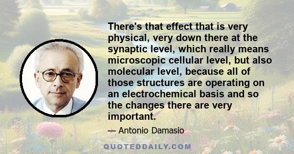 There's that effect that is very physical, very down there at the synaptic level, which really means microscopic cellular level, but also molecular level, because all of those structures are operating on an