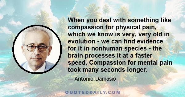 When you deal with something like compassion for physical pain, which we know is very, very old in evolution - we can find evidence for it in nonhuman species - the brain processes it at a faster speed. Compassion for