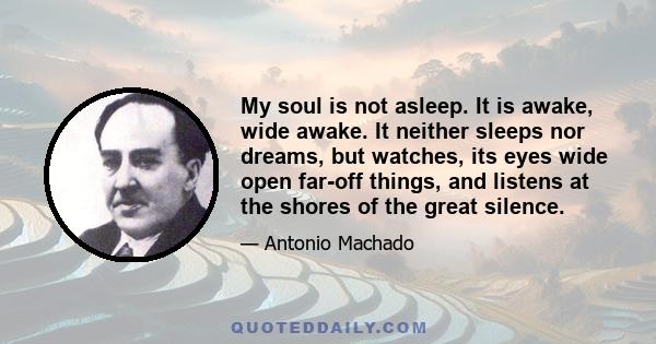 My soul is not asleep. It is awake, wide awake. It neither sleeps nor dreams, but watches, its eyes wide open far-off things, and listens at the shores of the great silence.