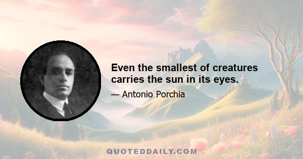 Even the smallest of creatures carries the sun in its eyes.