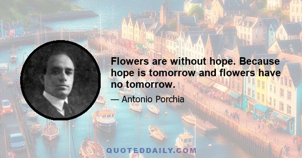 Flowers are without hope. Because hope is tomorrow and flowers have no tomorrow.