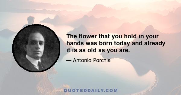 The flower that you hold in your hands was born today and already it is as old as you are.