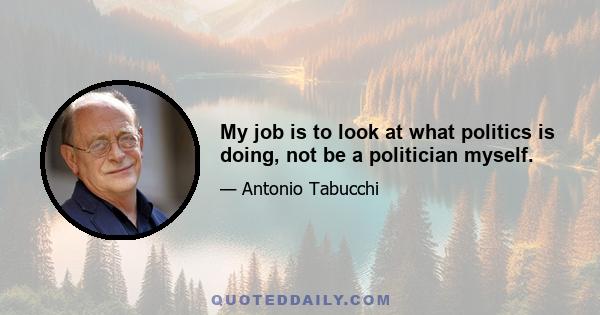 My job is to look at what politics is doing, not be a politician myself.