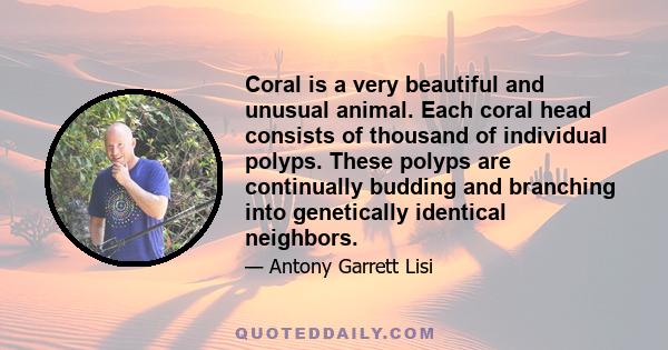 Coral is a very beautiful and unusual animal. Each coral head consists of thousand of individual polyps. These polyps are continually budding and branching into genetically identical neighbors.